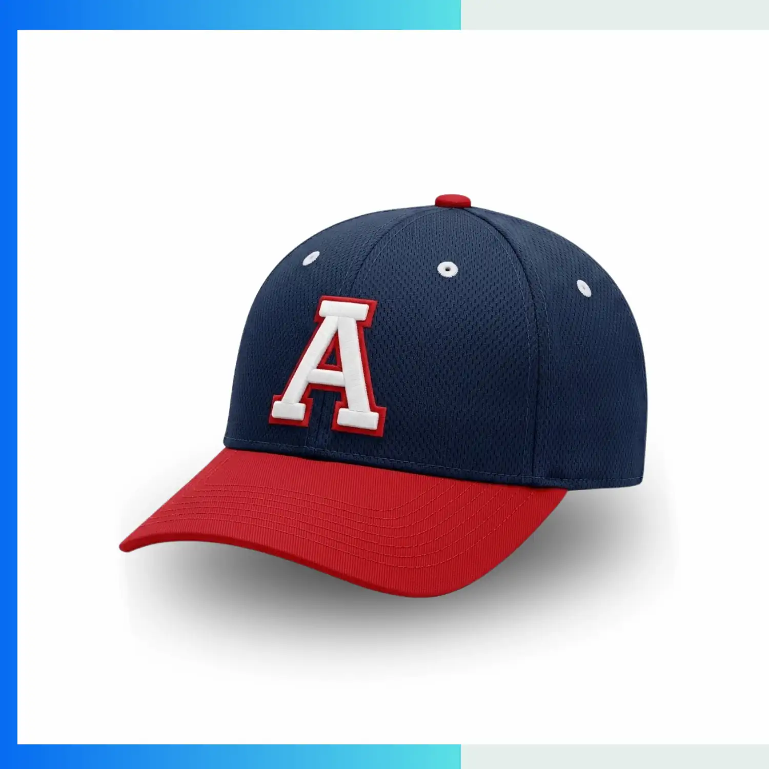 NPS-BSB-CAP-001