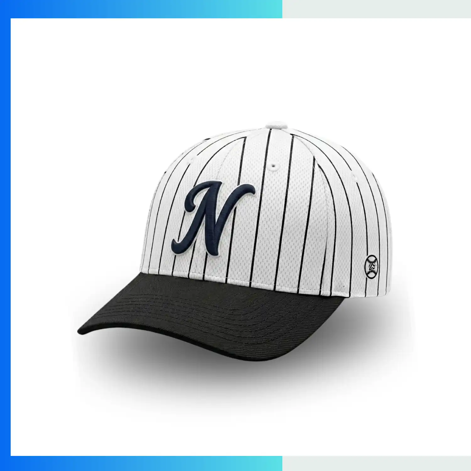 NPS-BSB-CAP-005