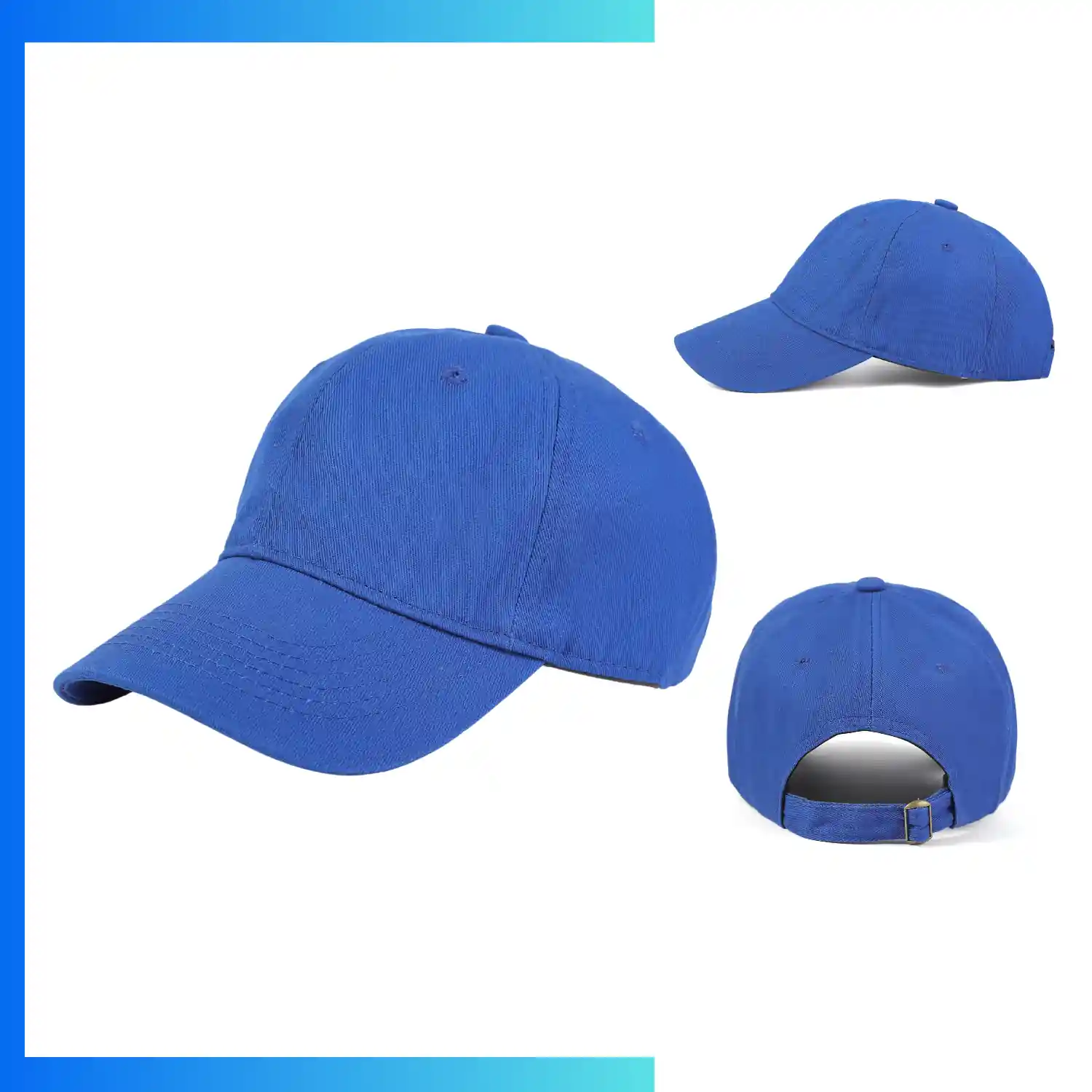 C15 （NPS-CAP-024） (4)