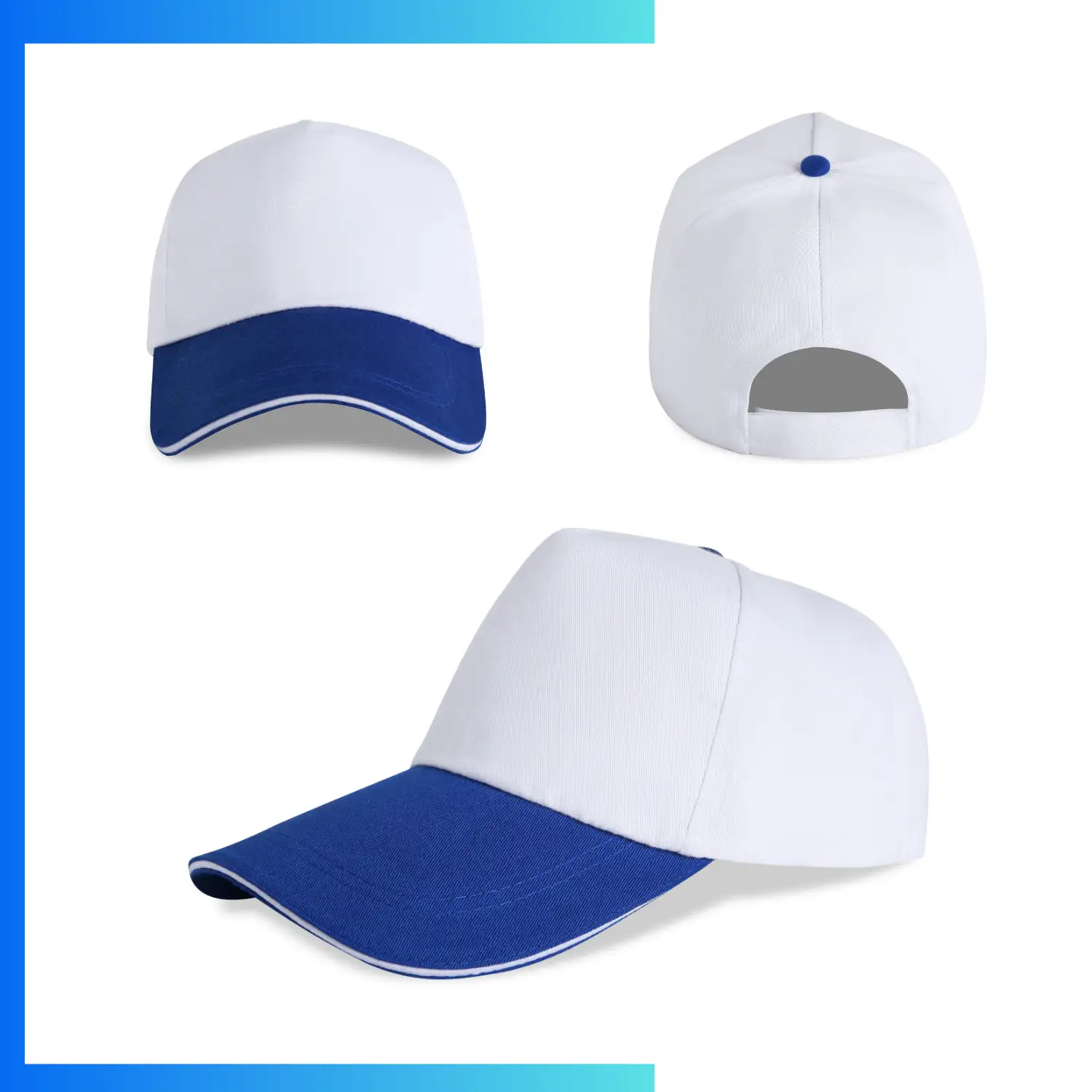 NPS-CAP-006