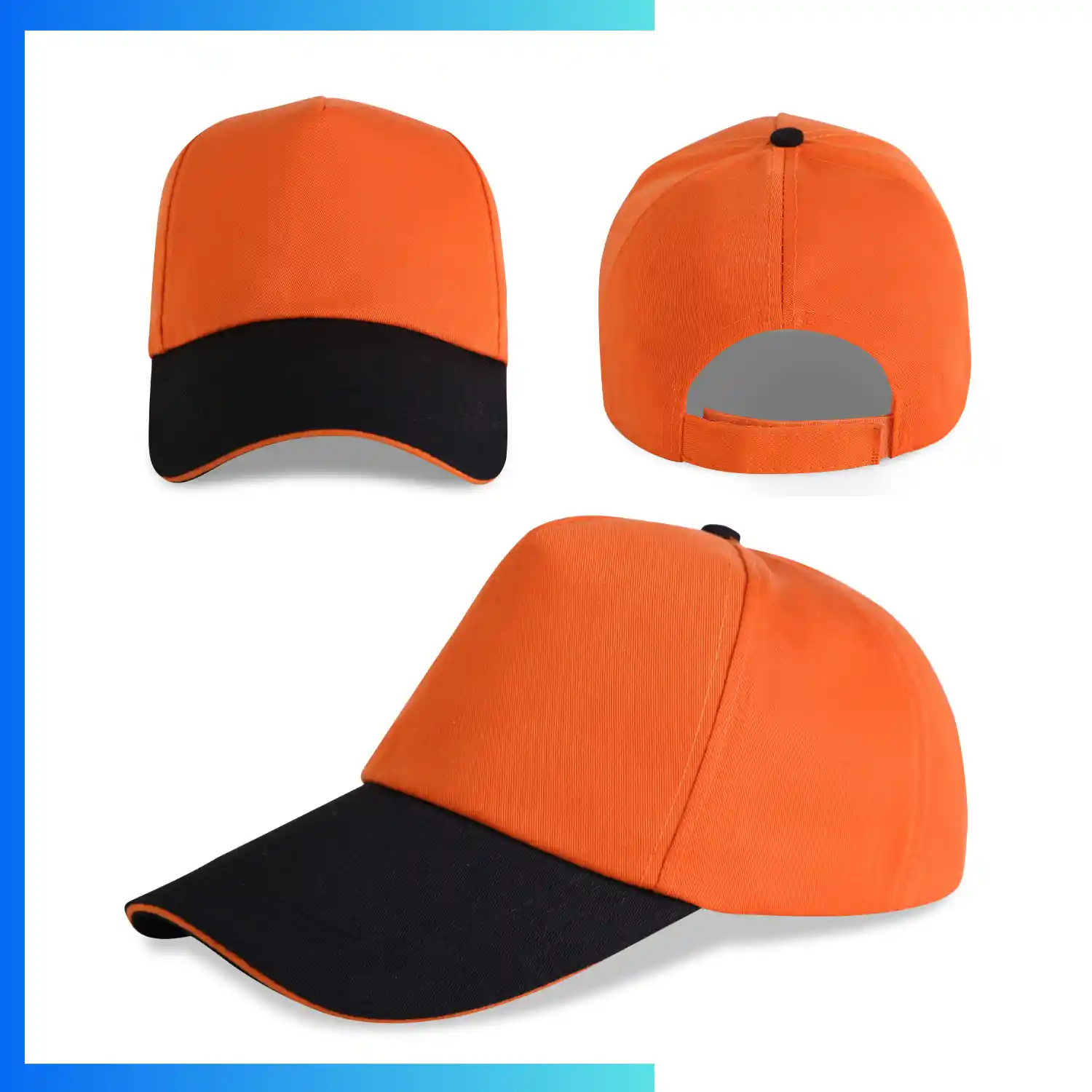 NPS-CAP-006 (6)